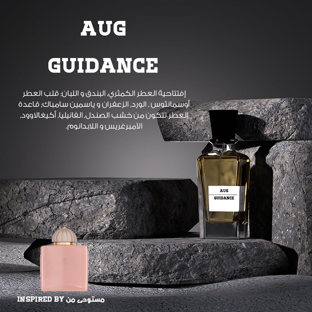 AUG GUIDANCE