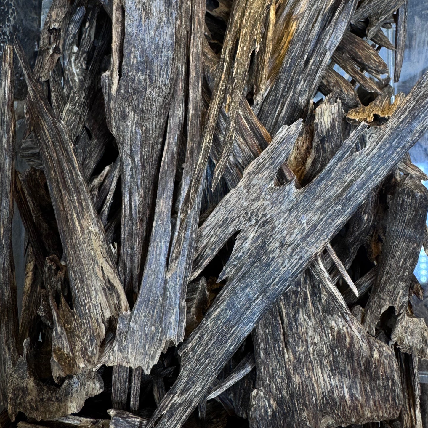 Oud Zora ( Negaland ) - 1Tola