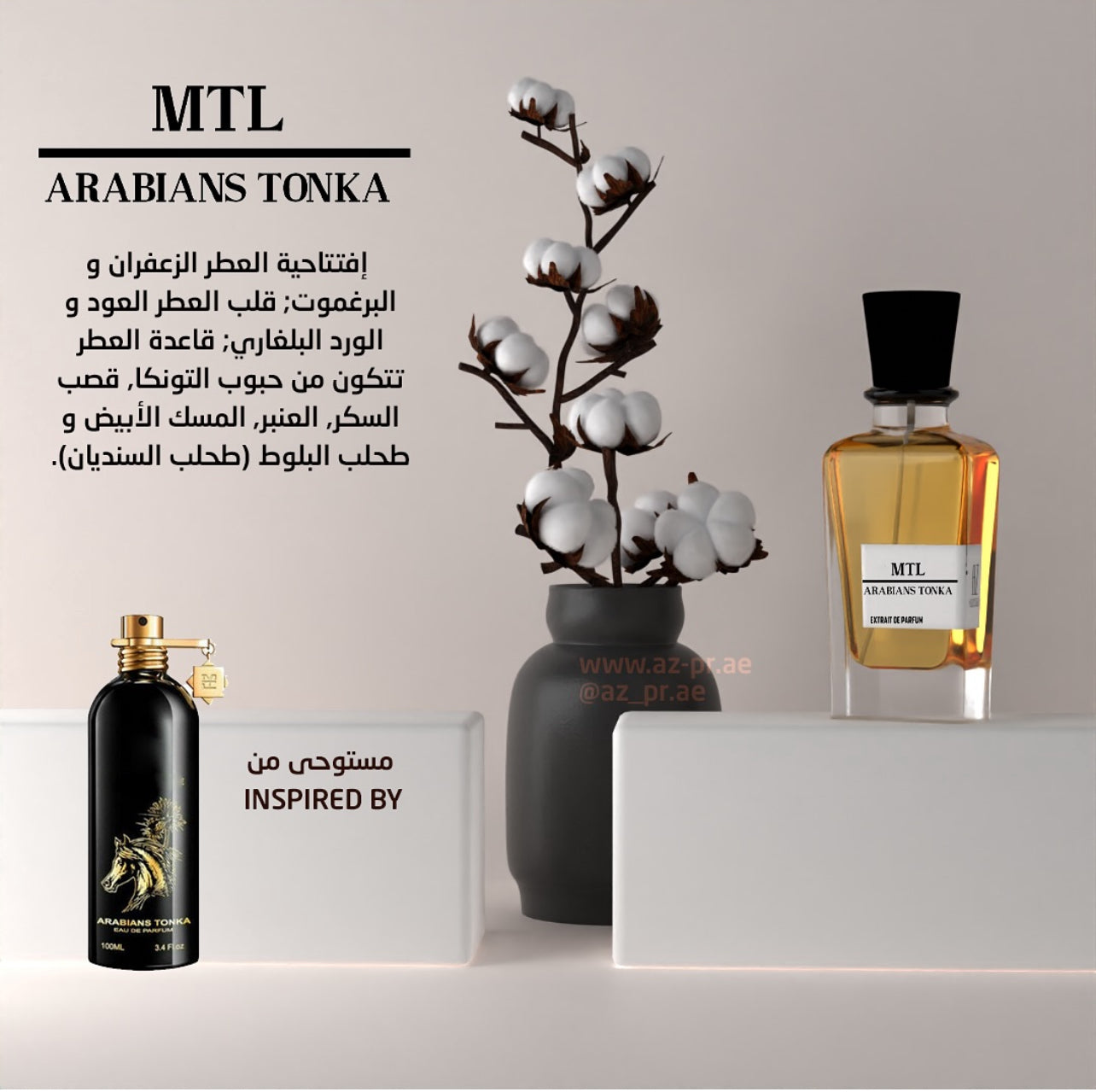 MTL Arabians Tonka