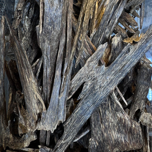 Oud Zora ( Negaland ) - 1Tola