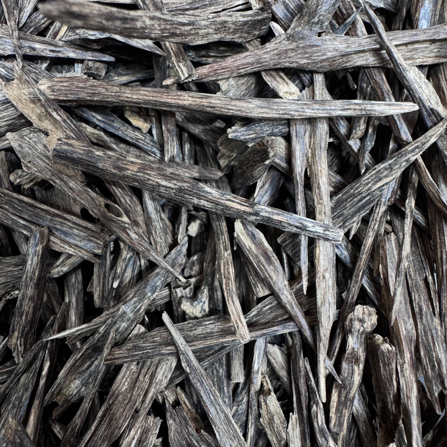 Oud Sala - Soyofi - 1 Tola