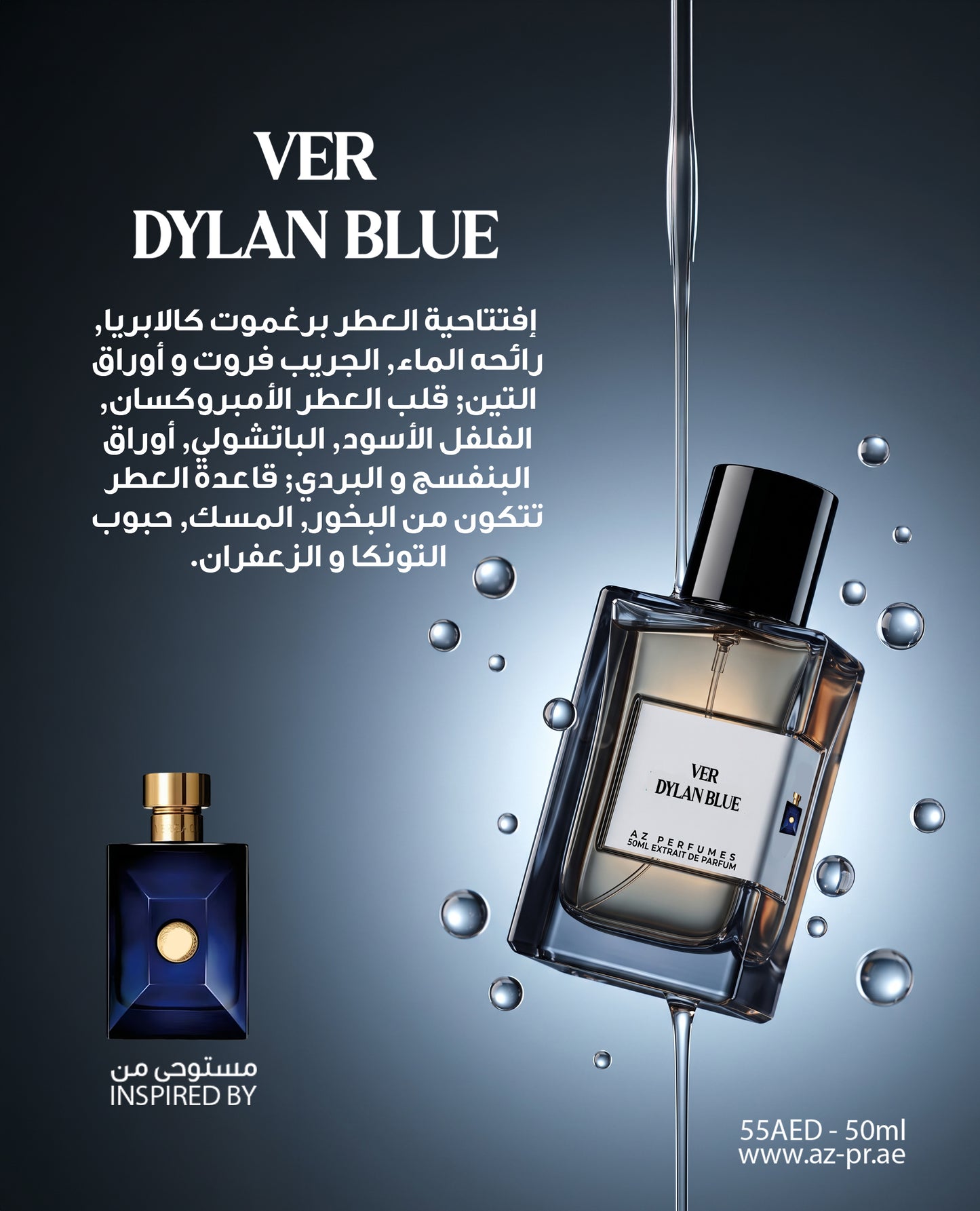 VER Dylan Blue