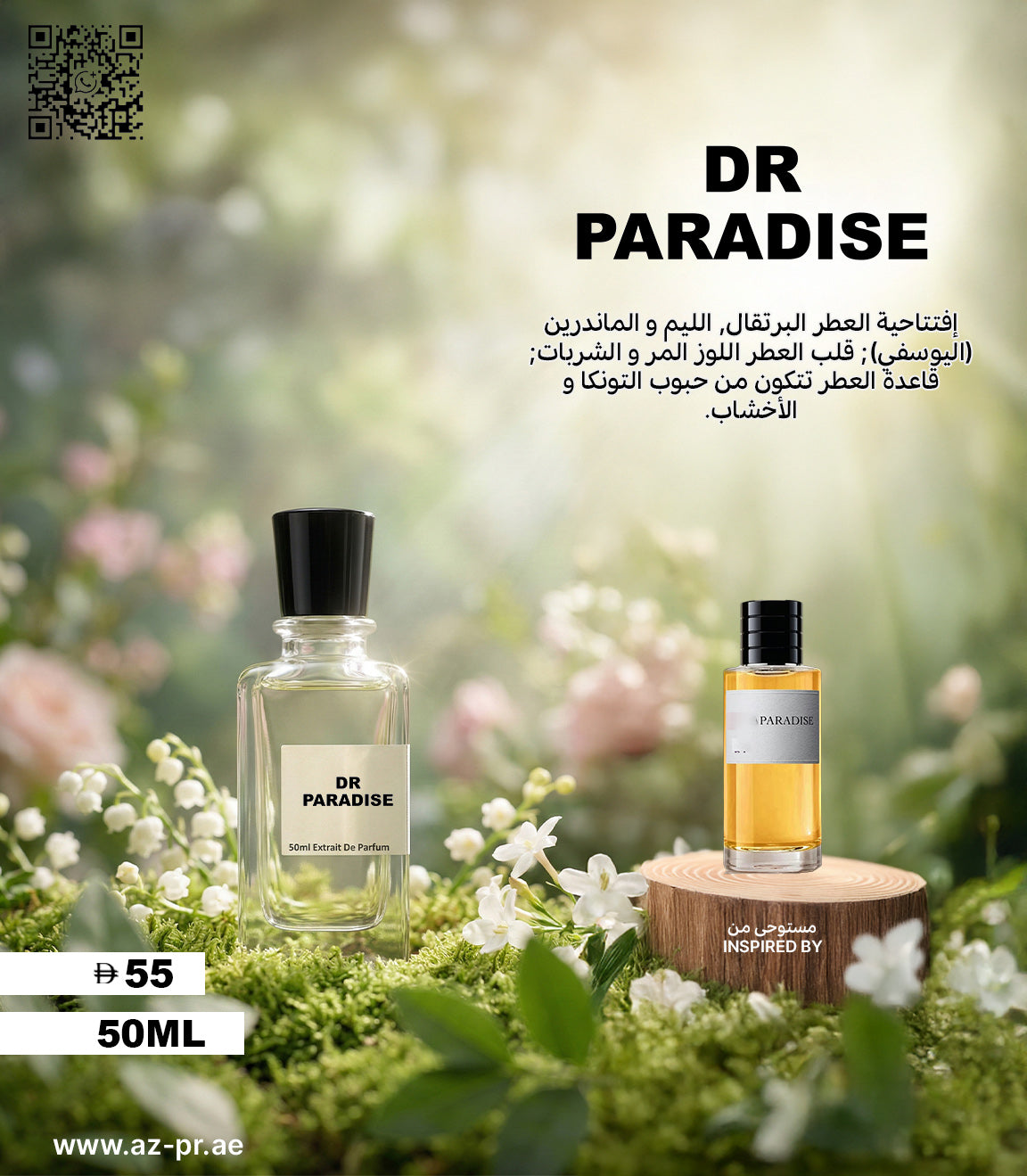DR PARADISE